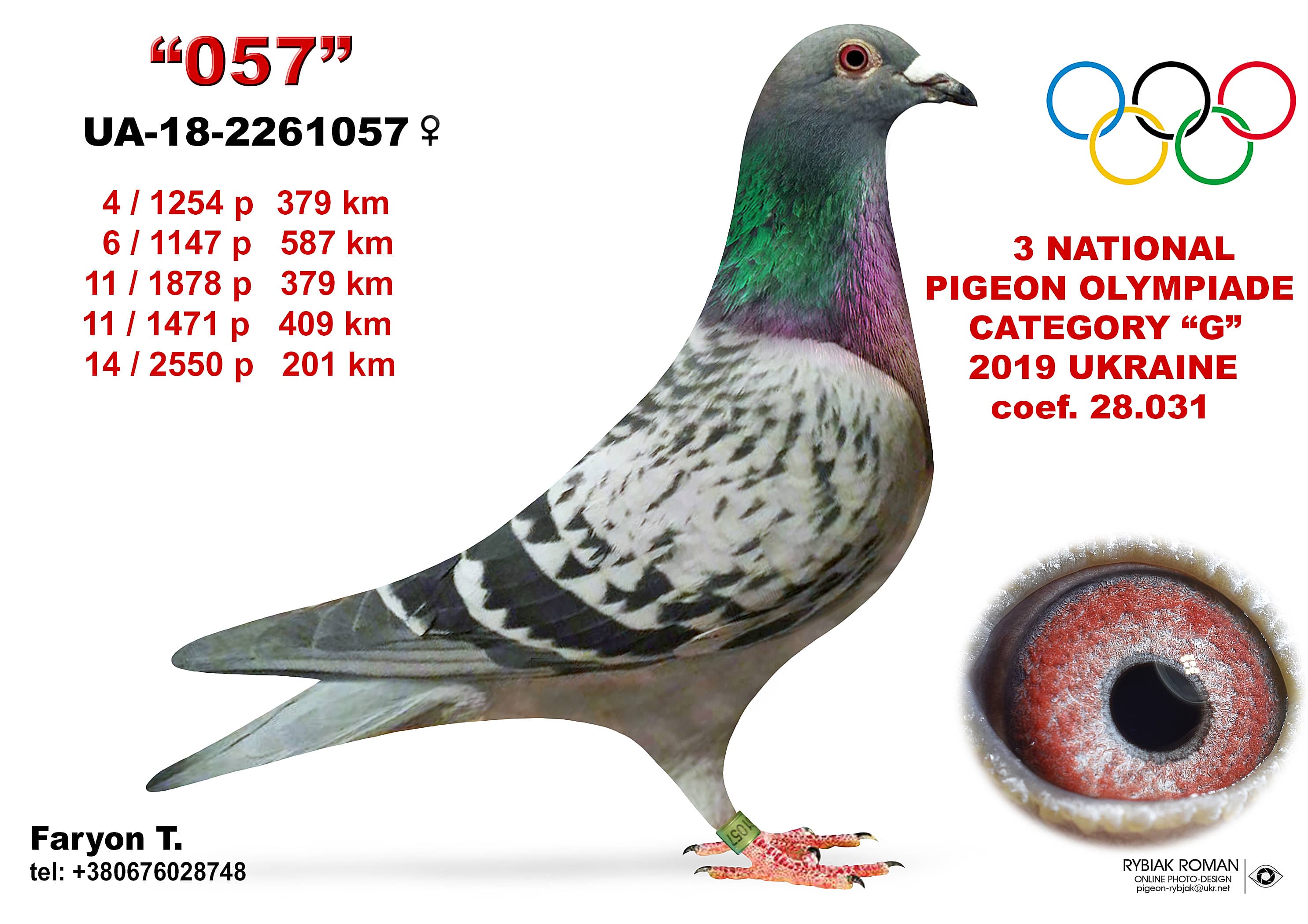 2019-G3